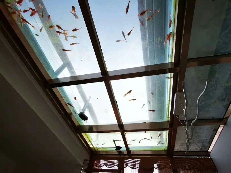 陽(yáng)光房頂部景觀魚(yú)池滲漏水維修