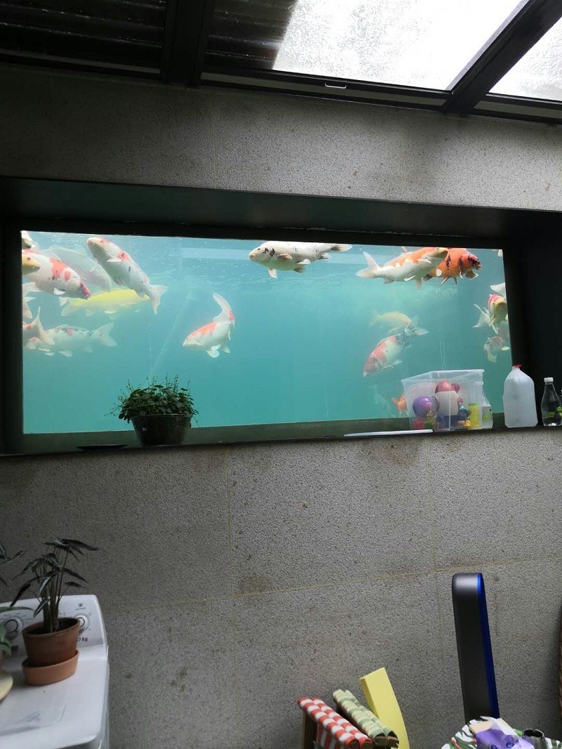 別墅地下室景觀魚(yú)池維修后