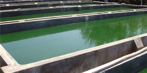 開敞式矩形混凝土消防水池蓄水池滲漏水維修的結構特點